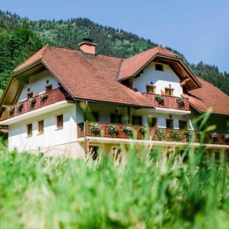 图里斯梅提葛来阁乡村民宿 Solčava 外观 照片