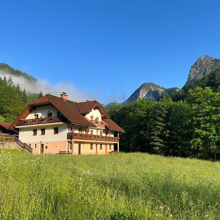 图里斯梅提葛来阁乡村民宿 Solčava 外观 照片